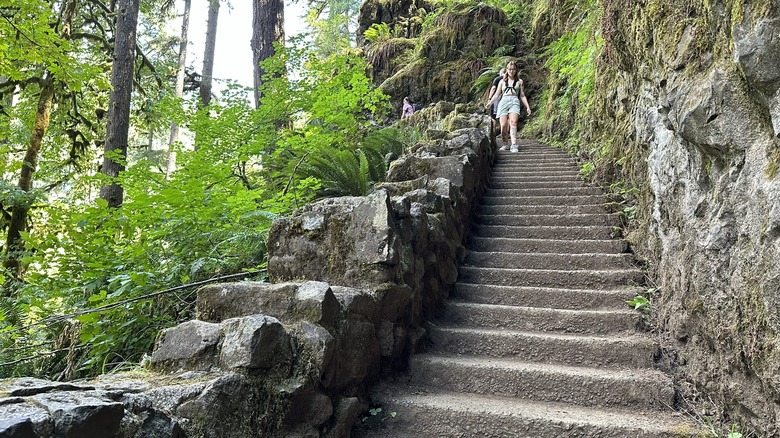 steps on the Trail of Ten Falls