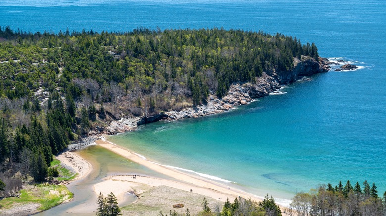 Cove at Acadia National Park