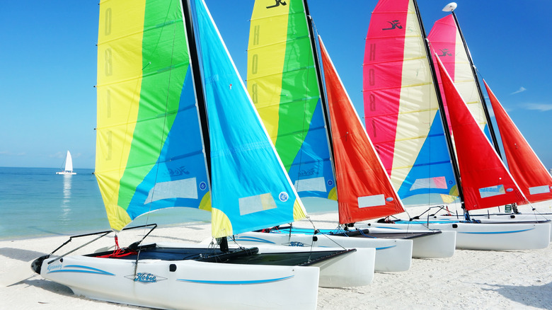 Hobie cats on a Caribbean beach