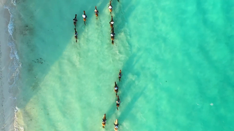 Horses riding through ocean 