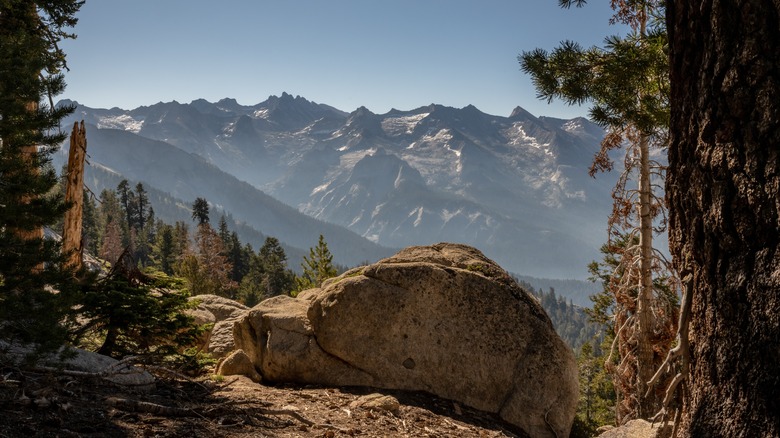 Alta Trail in California