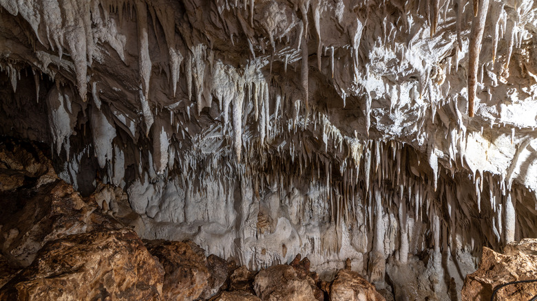 Barra Honda National Park caves