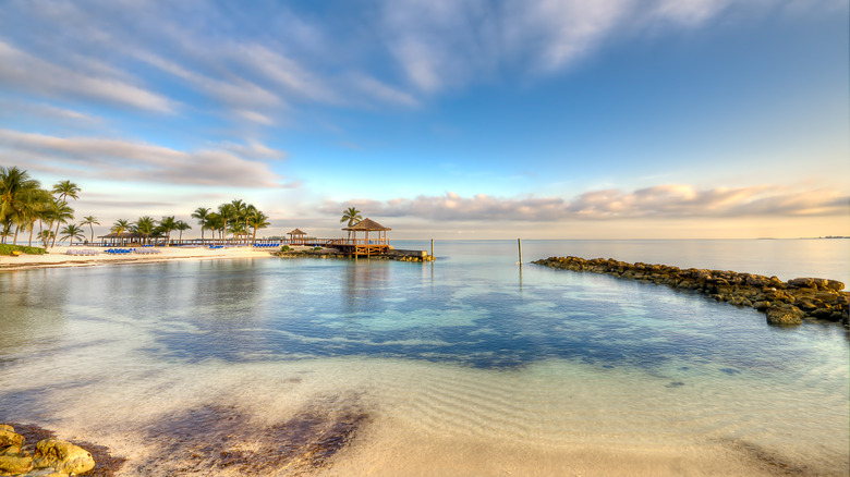 A beach in Nassau, Bahamas