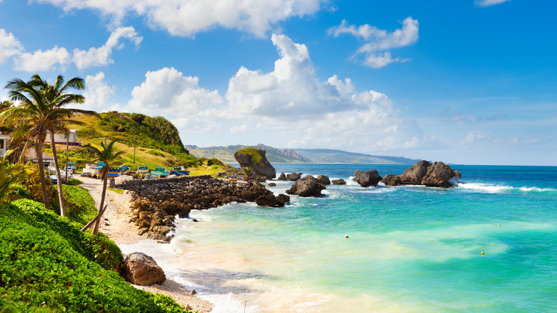 A beautiful beach in Barbados