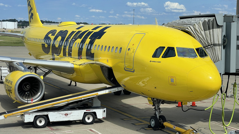 Spirit Airlines plane on the ground