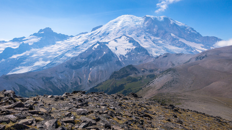 Burroughs Mountain trail in Rainier