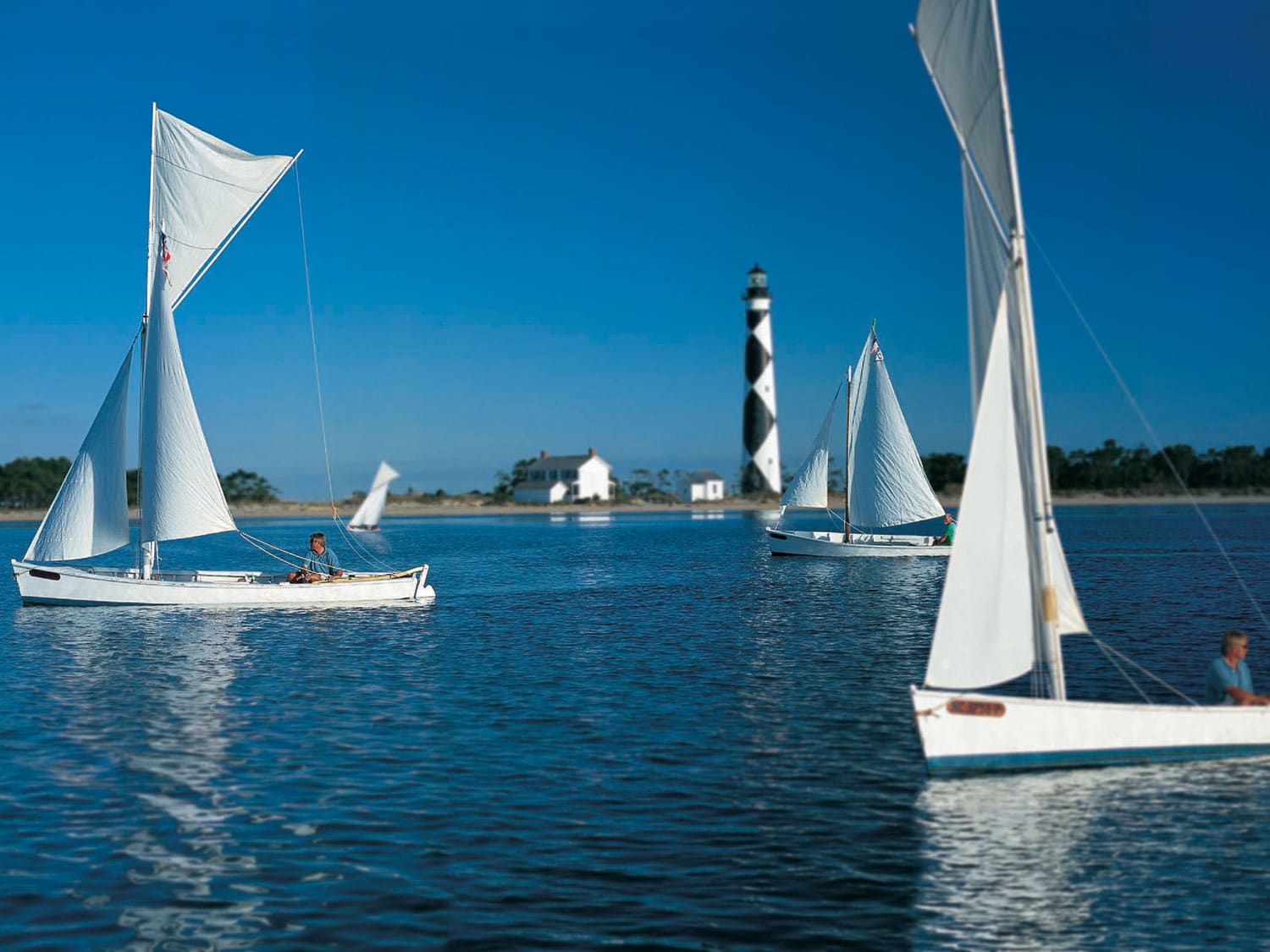 sailboats