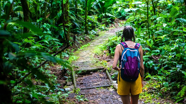 Woman hiking in rainforest