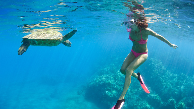 woman snorkeling near turtle