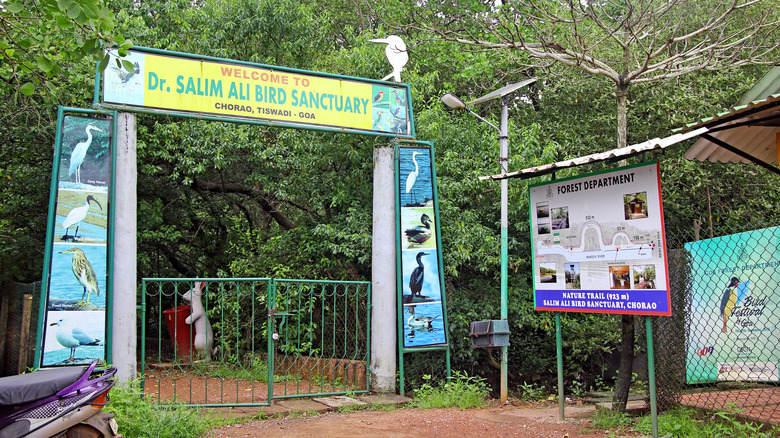 Bird sanctuary at Chorao Island