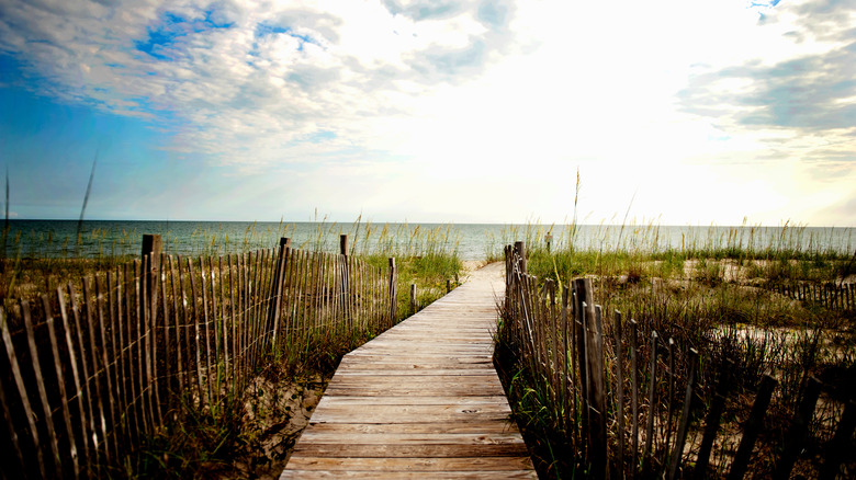 Walk the windswept beach trails of Bald Head Island