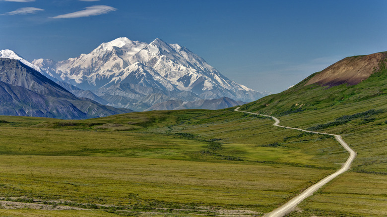 View in Denali National Park