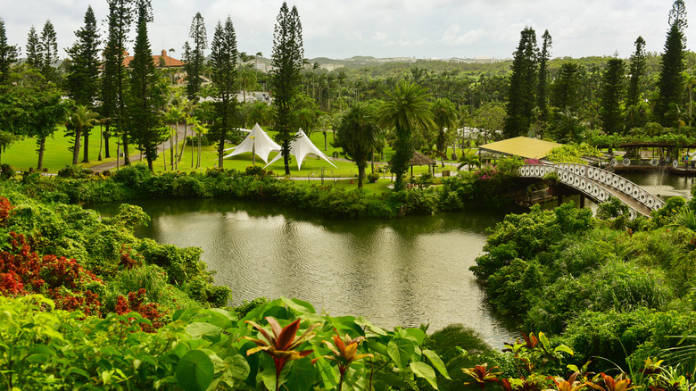 Southeast Botanical Gardens, Okinawa