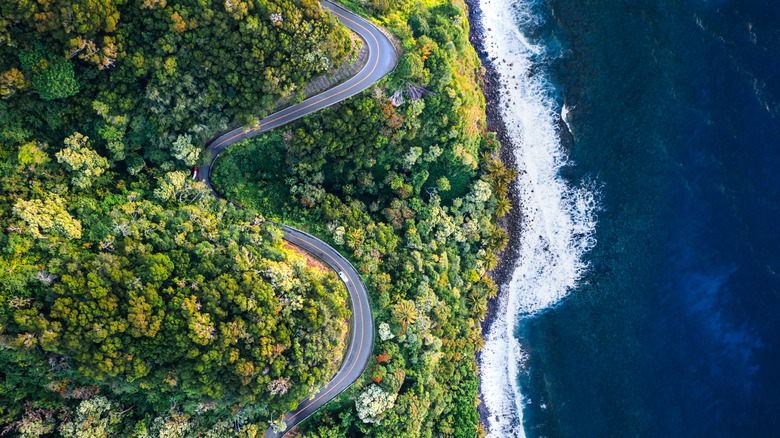 winding road to Hana