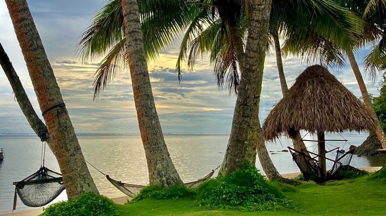 Hammocks at Fiji Beachouse