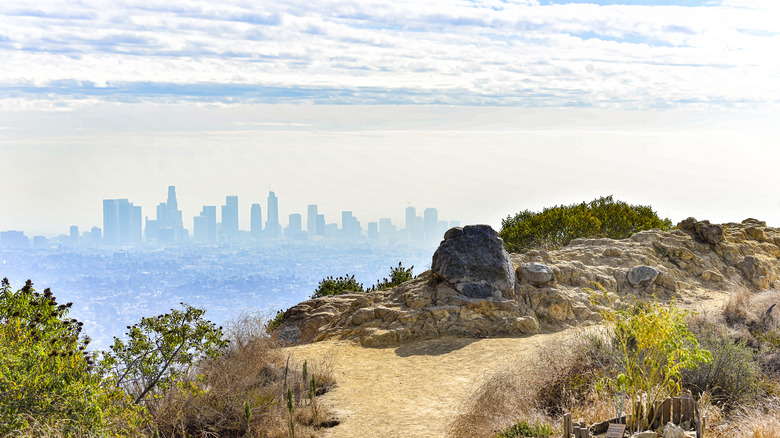 LA skyline from Mount Hollywood