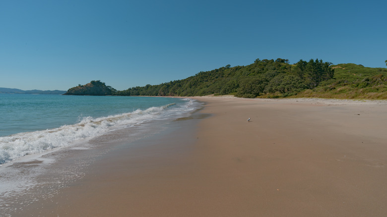 Wide shoreline at beach