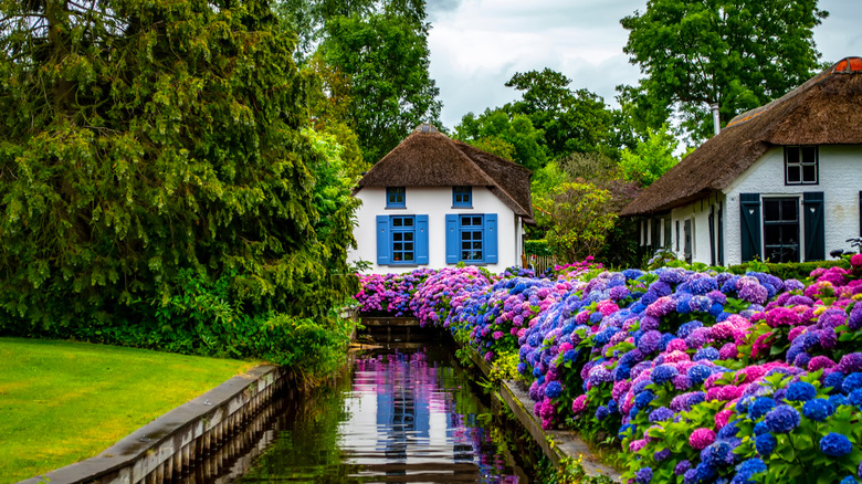 Canal view in Giethoorn, Netherlands