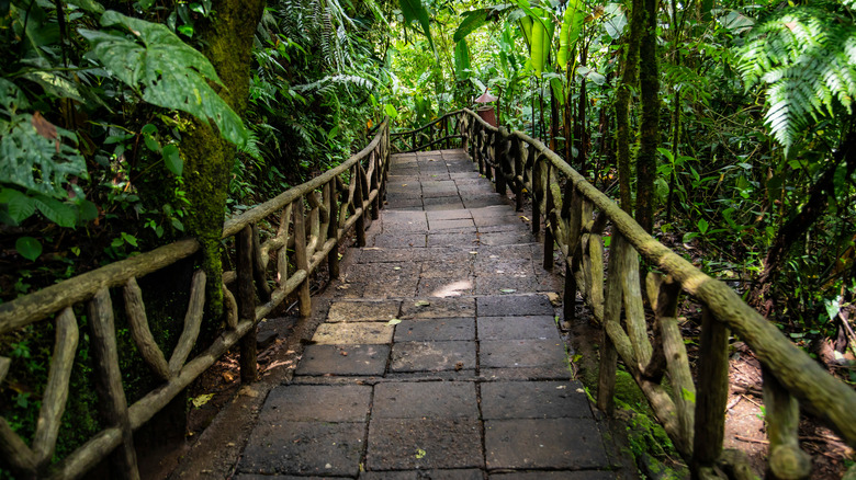 Stairs at La Paz