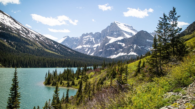 Slopes of Glacier National Park