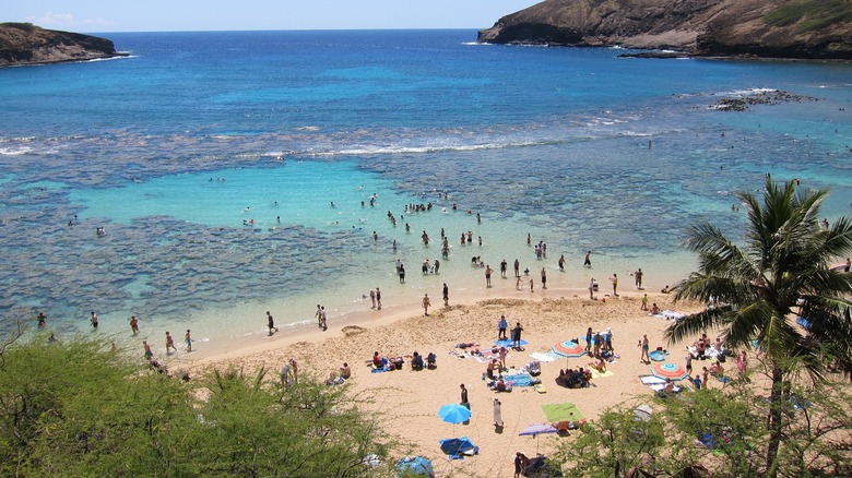 Snorkelers at Hanauma Bay Preserve