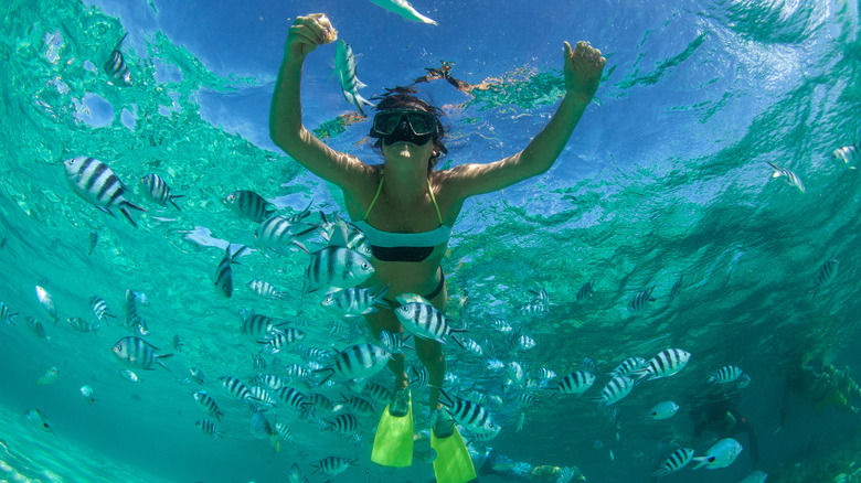 Woman feeding fish underwater