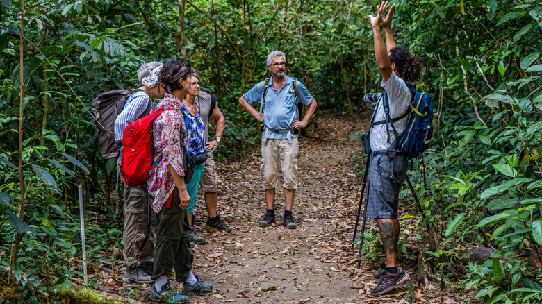 guided hiking tour group in osa peninsula