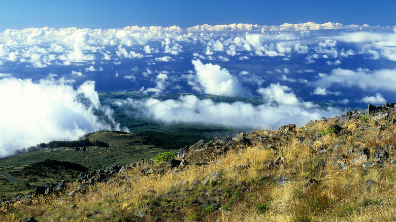 slopes of Haleakala above clouds