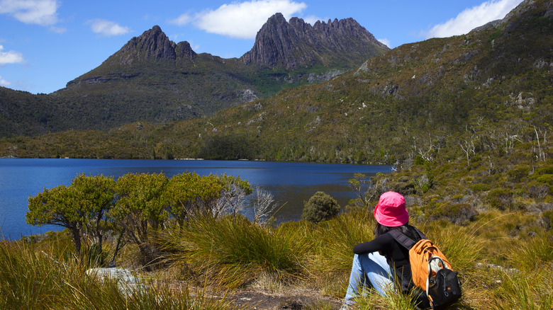 hiker looking at cradle mountain