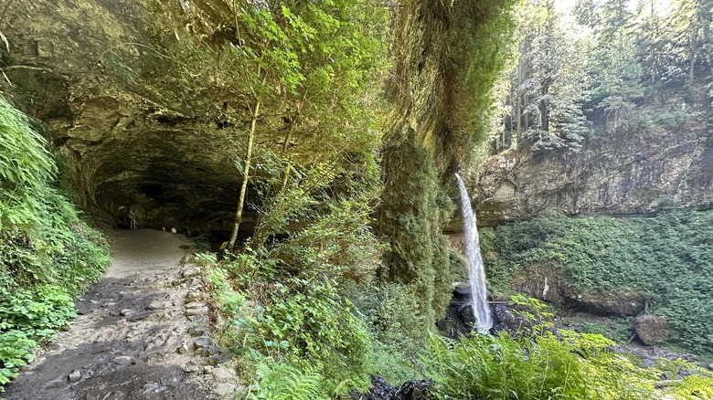 waterfall along the Trail of Ten Falls