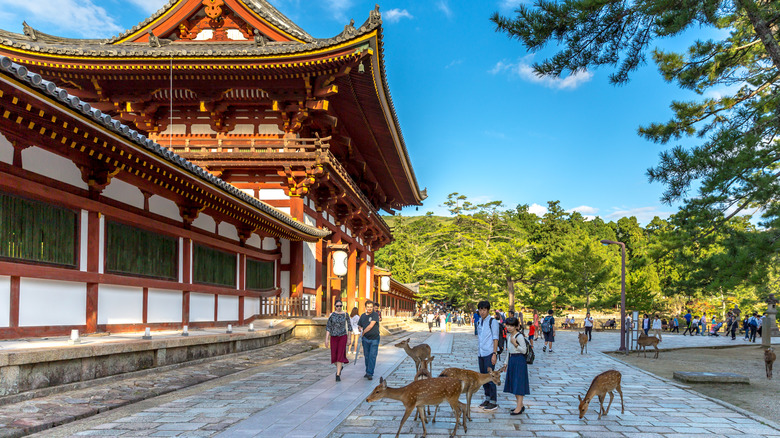 Todai-ji Temple in Nara, Japan