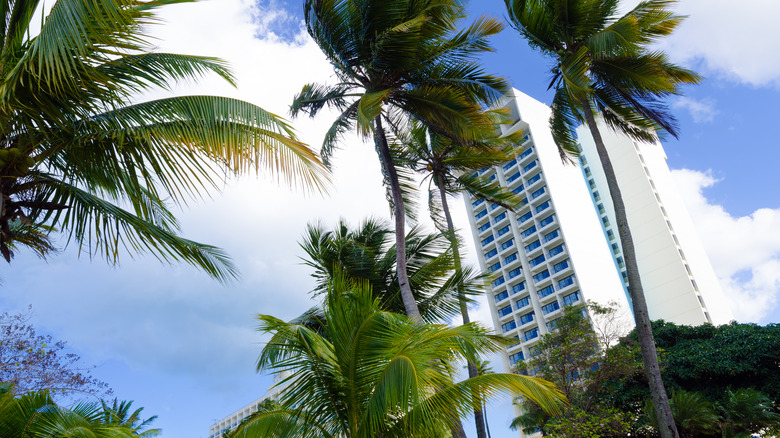 Luxury building behind palm trees