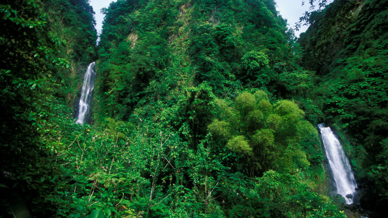 two waterfalls lush jungle