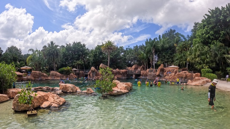 Discovery Cove in Orlando