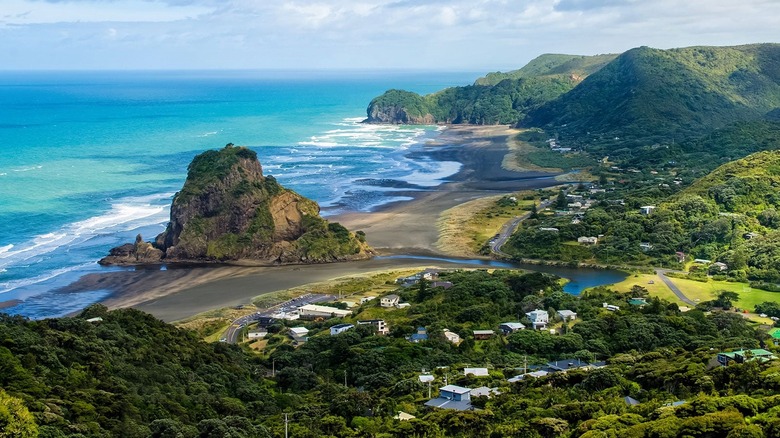 new zealand beach