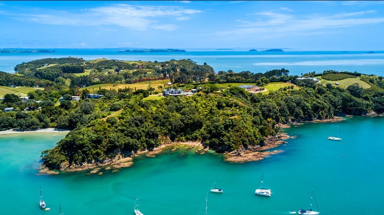 Waiheke Island, New Zealand