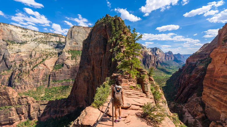 Angels Landing Trail in Zion