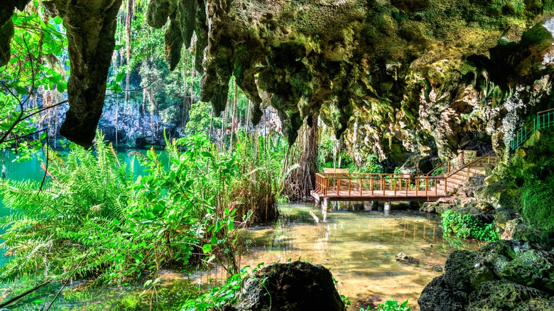 pond and forest at 3 Eyes Park