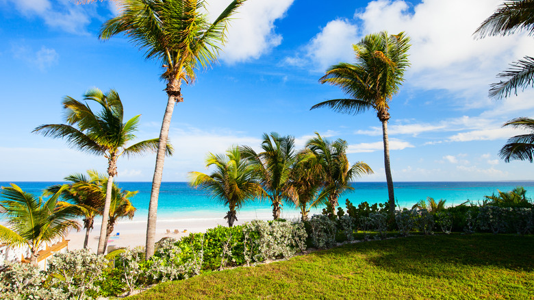 Harbour Island beach