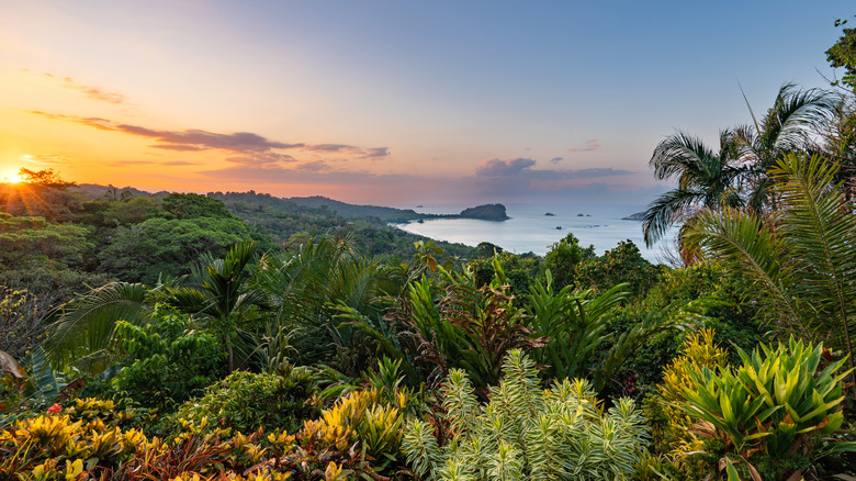 Manuel Antonio National Park Costa Rica