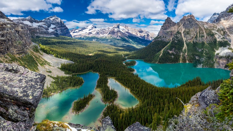 Lake O'Hara