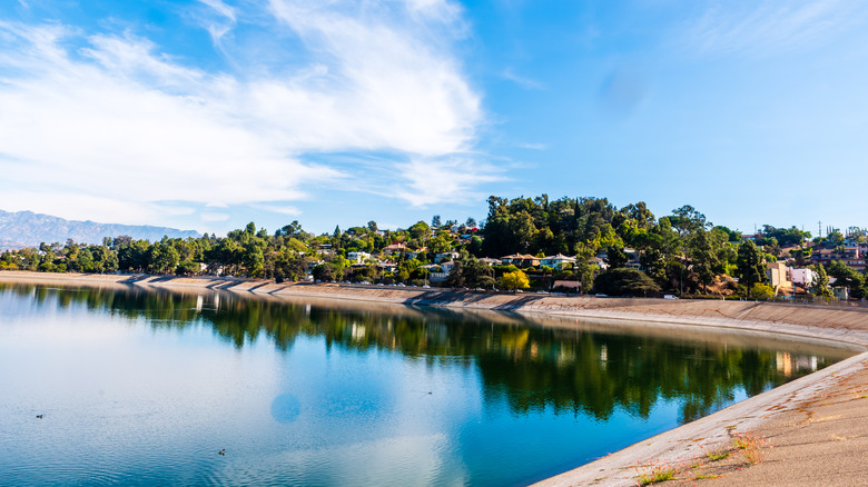 Silver Lake gorgeous reservoir