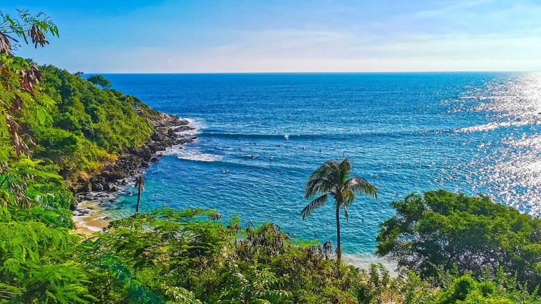 Playa Carrizalillo, Oaxaca