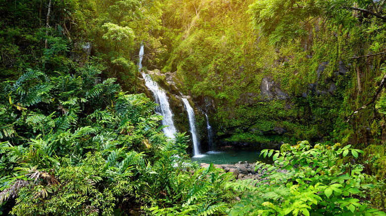 A serene Hawaiian swimming hole