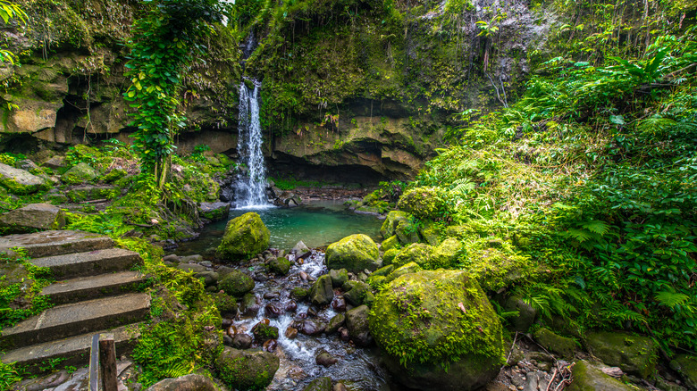 Emerald Pool, Dominica