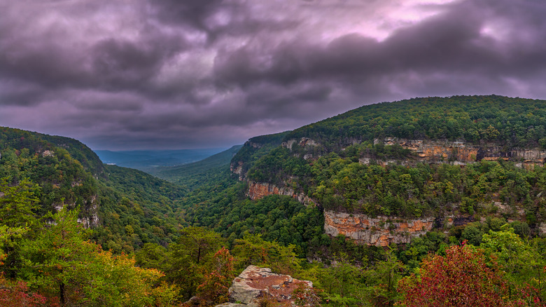 Cloudland Canyon State Park