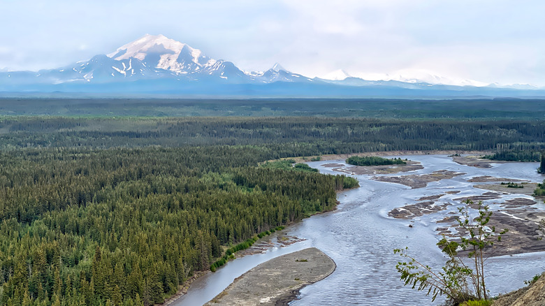 copper river Wrangell-St Elias