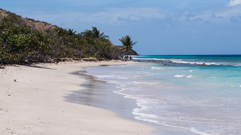 Beach on Culebra Puerto Rico