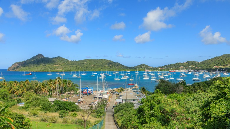 Carriacou boats in harbor