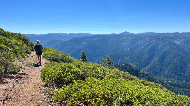 lone hiker pacific crest trail